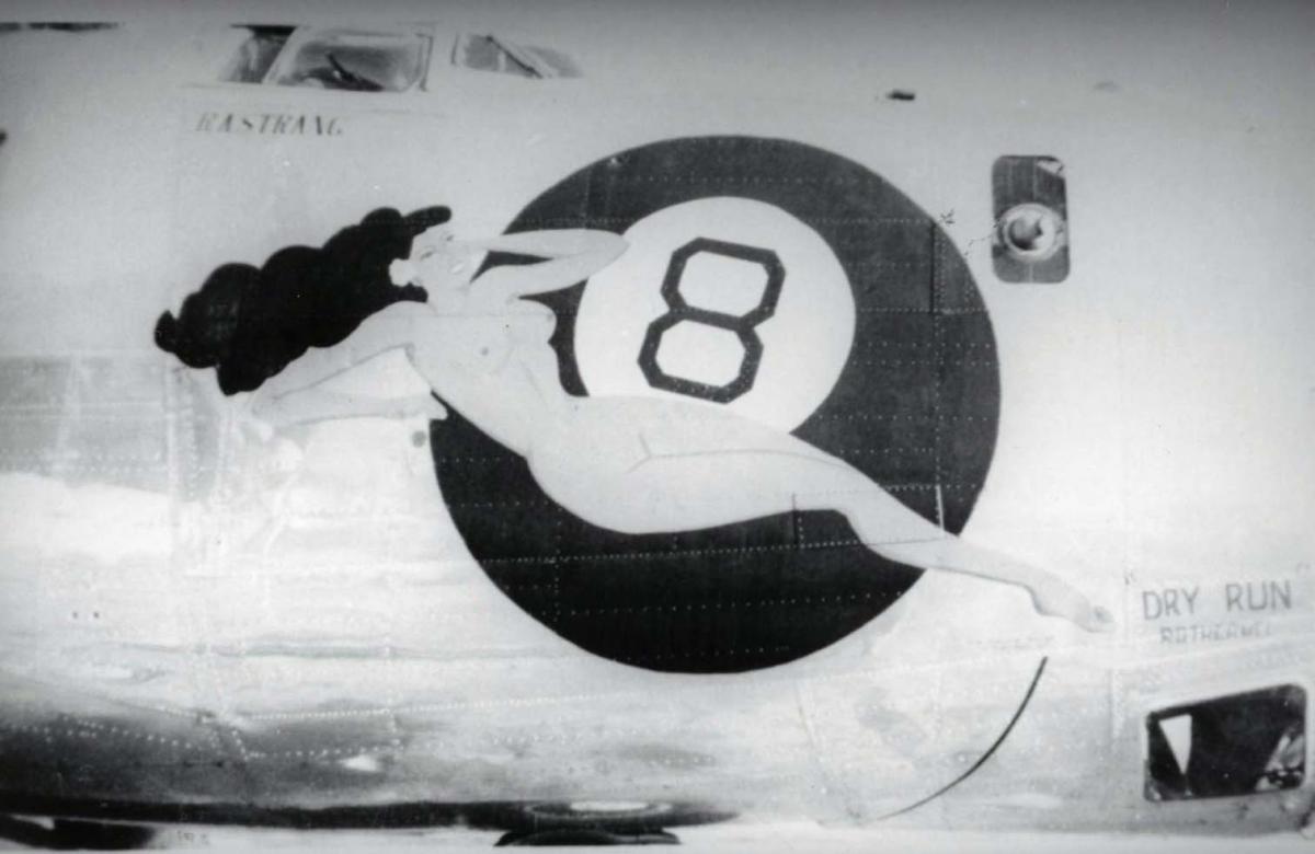 価格は安く Hawaii Aviation | World War II Nose Art 洋書